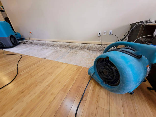 Professional Water Damage Repair technician working in Osprey, FL